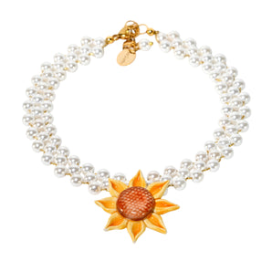 Girasole